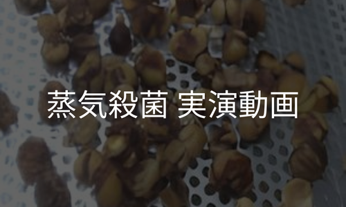 蒸気殺菌実演動画